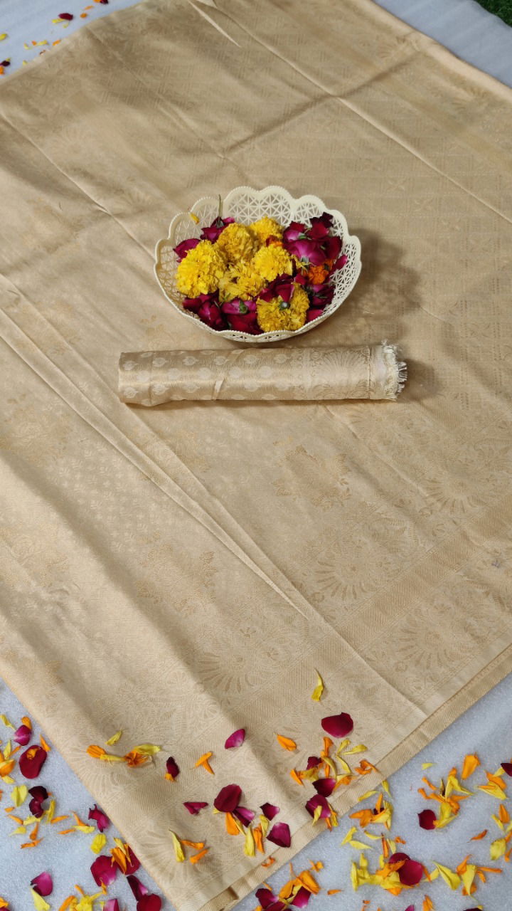 Ynf Nayani E Latest Exclusive Party Wear Heavy Silk Saree Collection